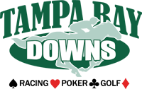 tampabaydowns logo